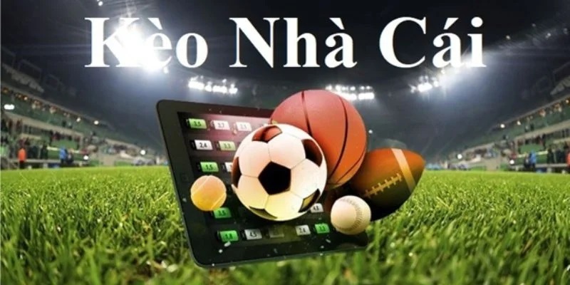 Bet88: Nơi hội tụ của những người đam mê cá cược